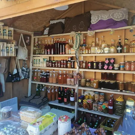 Appartement Jelena *